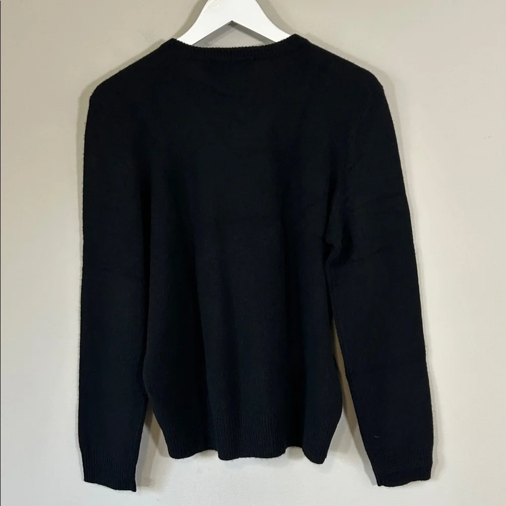 Polo Ralph Lauren Lambs Wool V Neck Sweater Mens Black Purple Pony Sz M